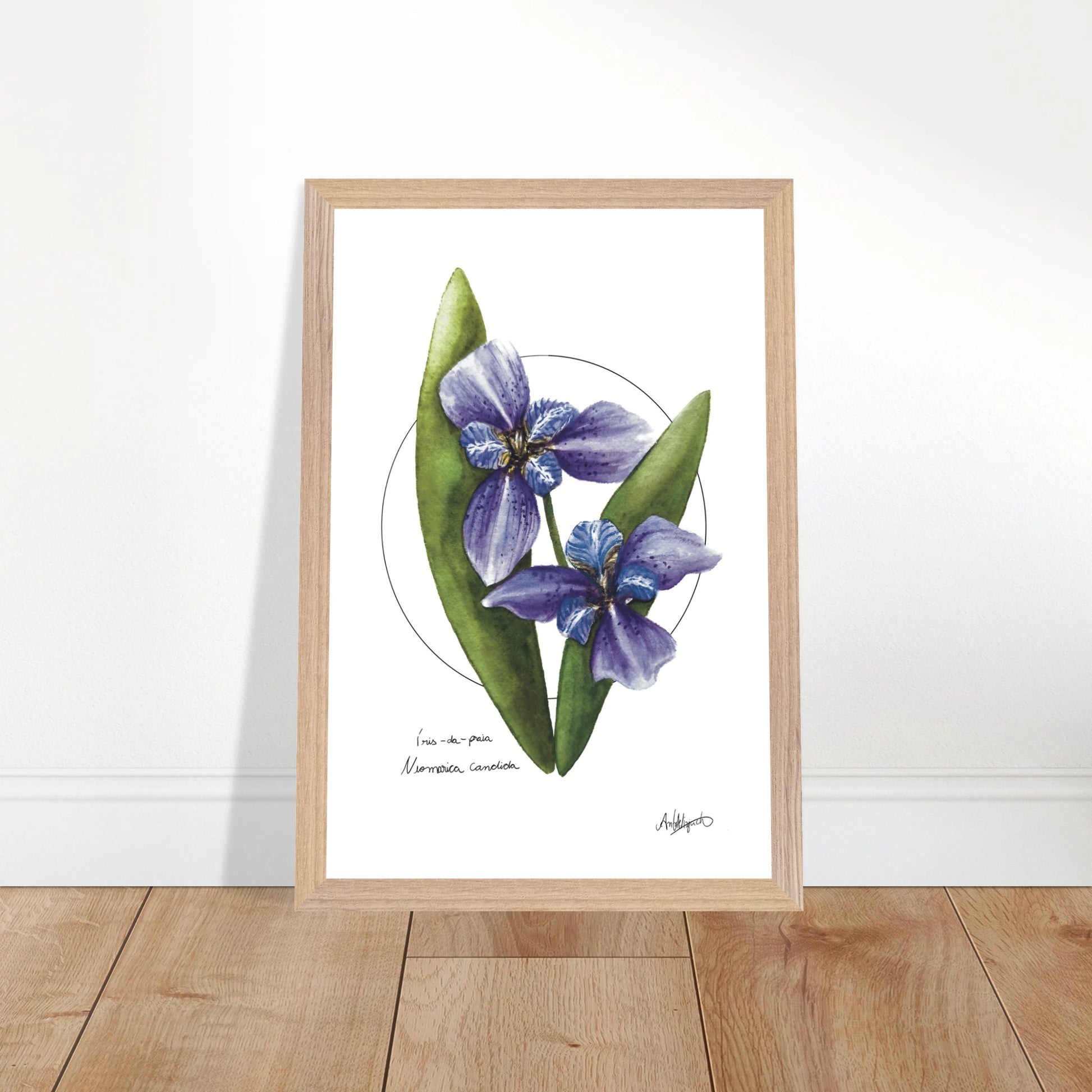 0711a29a-a064-4bfb-b8e8-b72ed02dc855