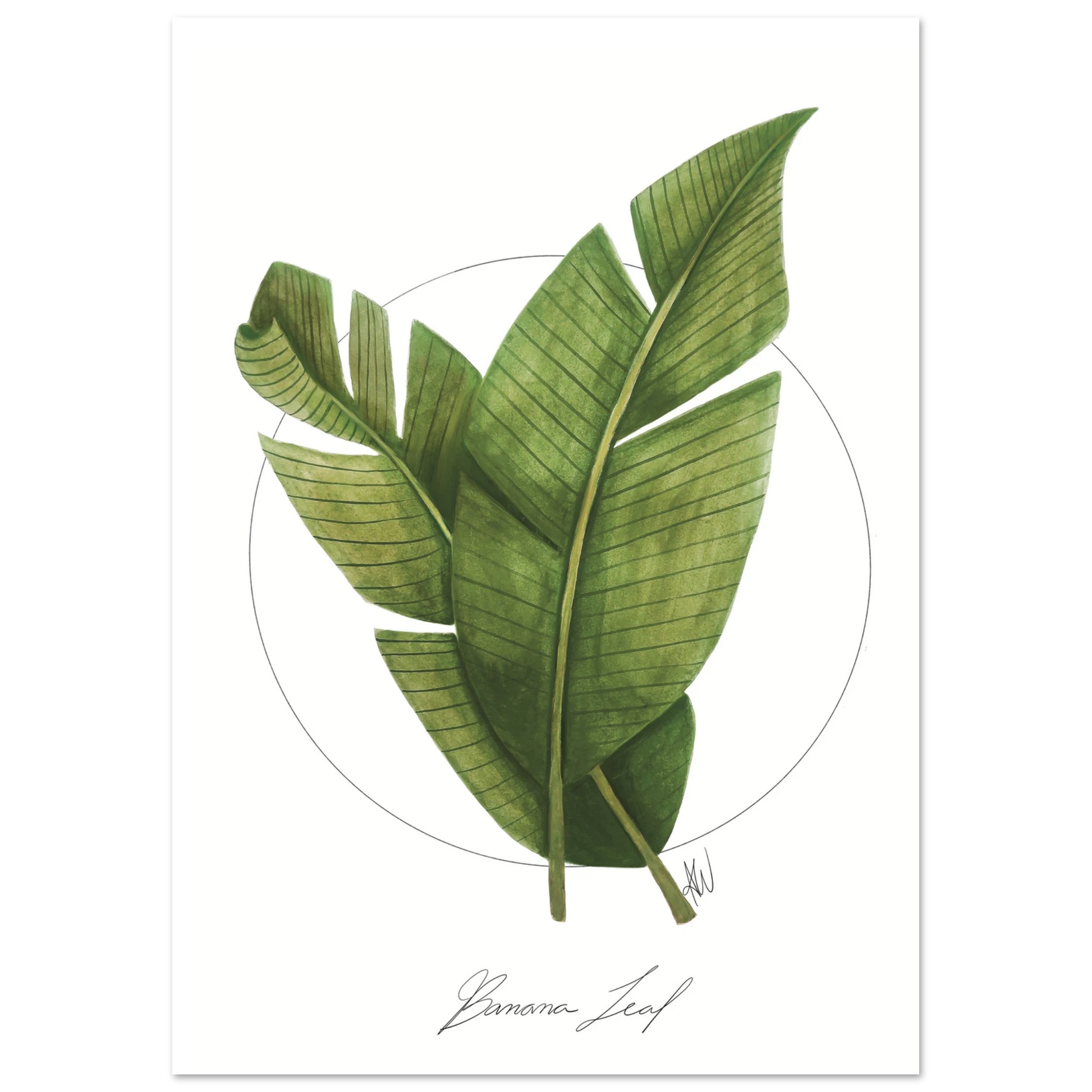 1cc0570e-d709-4fd2-966e-16251dc41c24