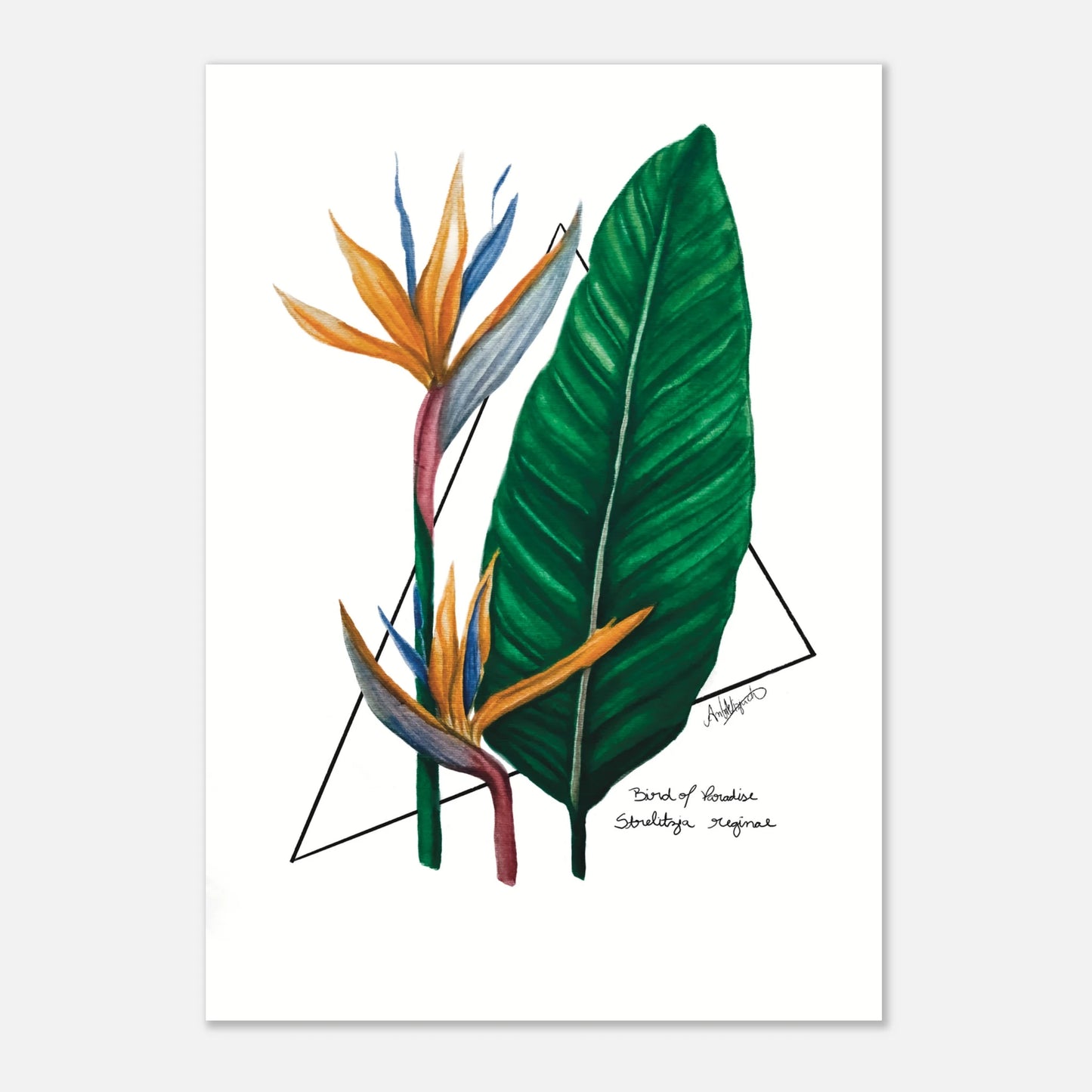 3f1843e3-090d-469e-b5a7-ec1852d018b5