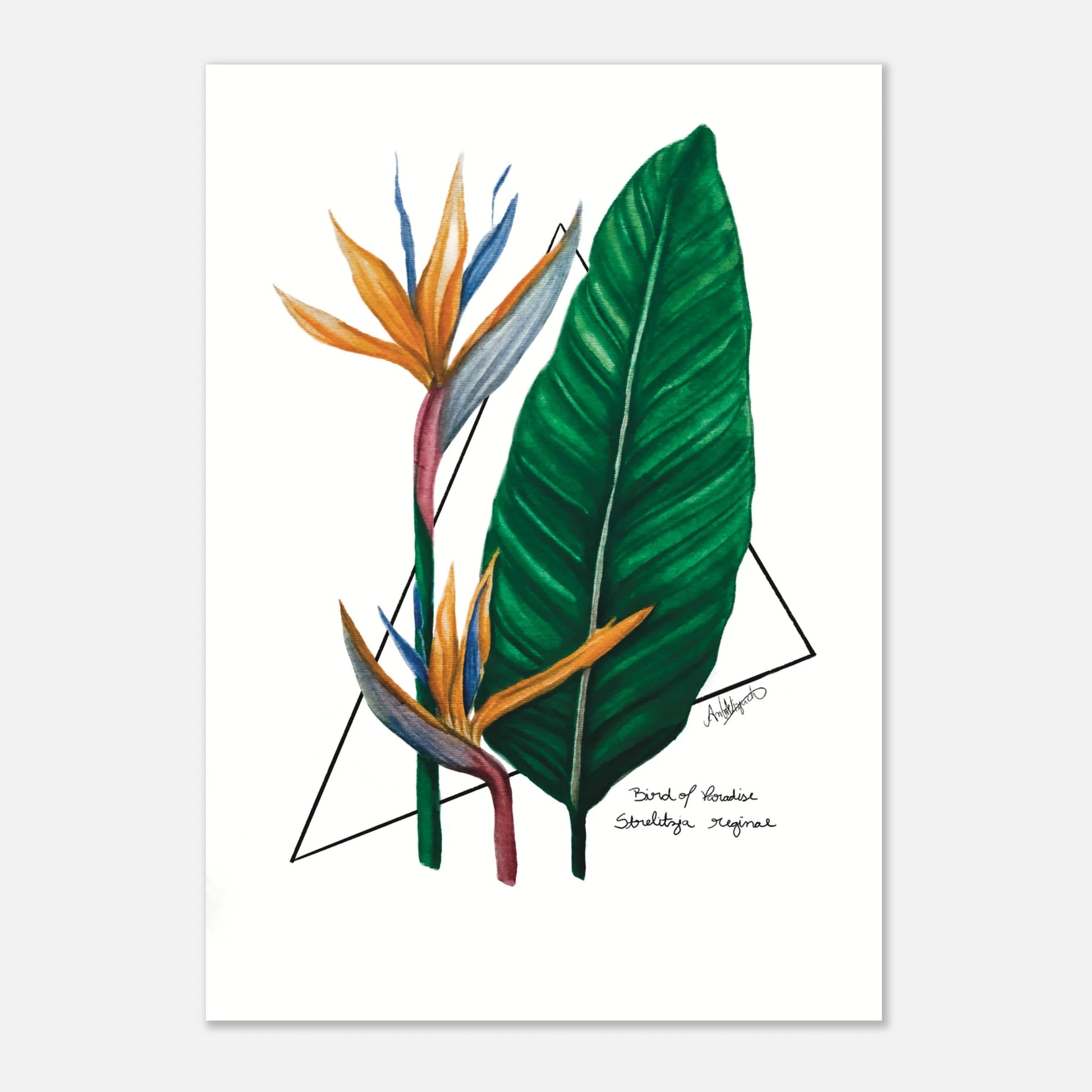 3f1843e3-090d-469e-b5a7-ec1852d018b5