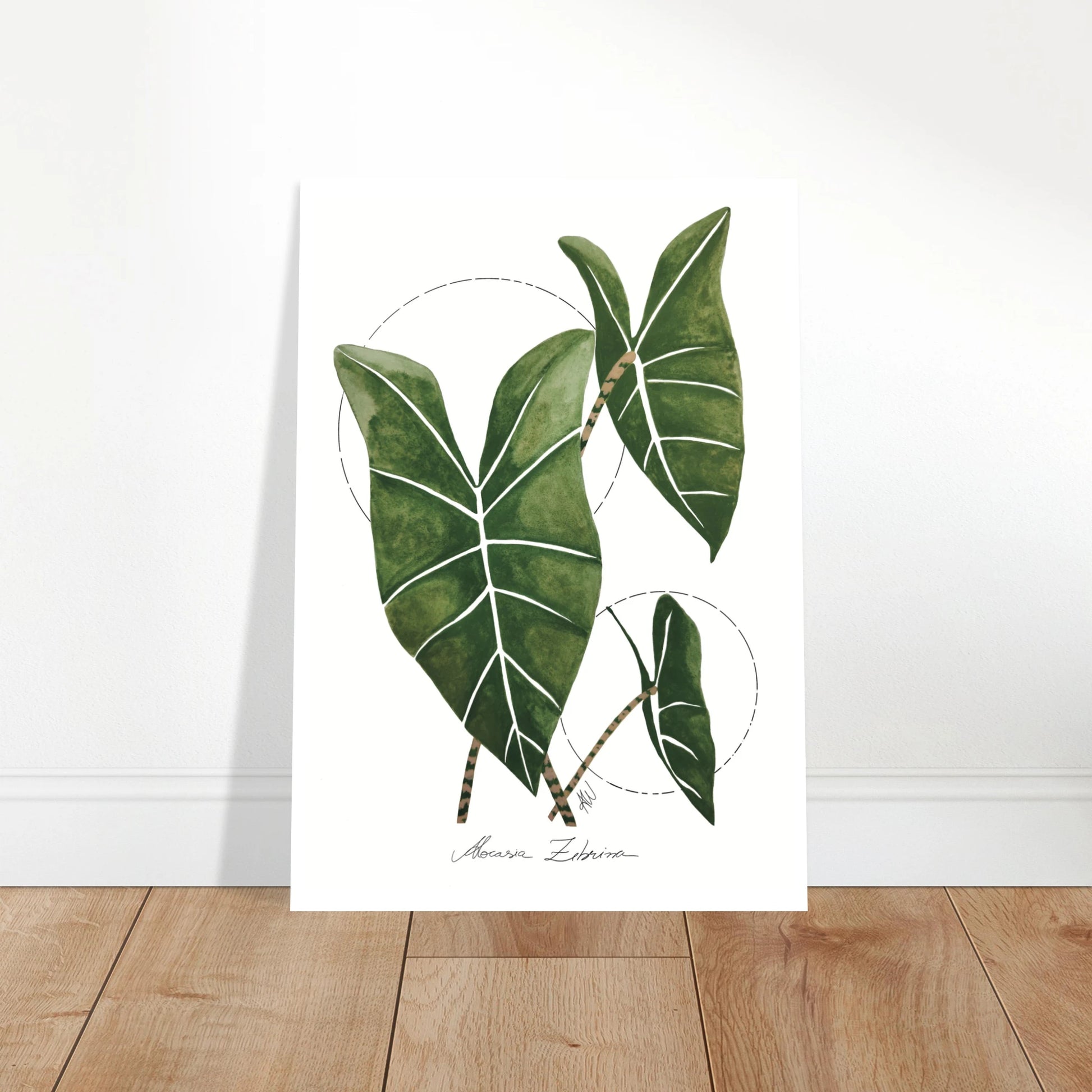 407190c8-b52e-4141-a4e1-24e5077632f5