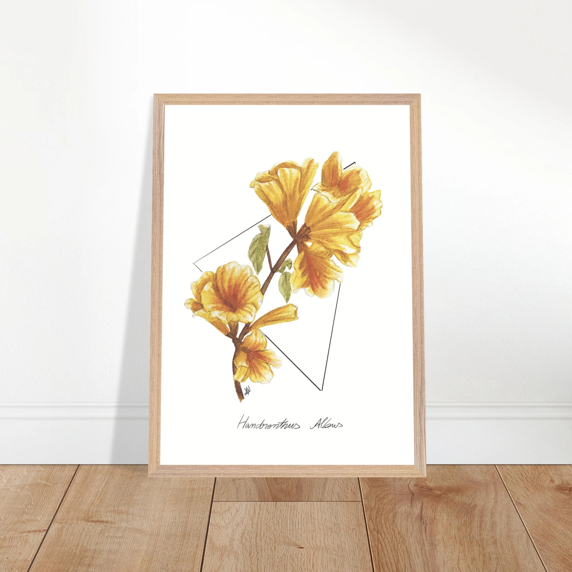 4f0a979d-72d7-40de-8744-239ac1c337f6