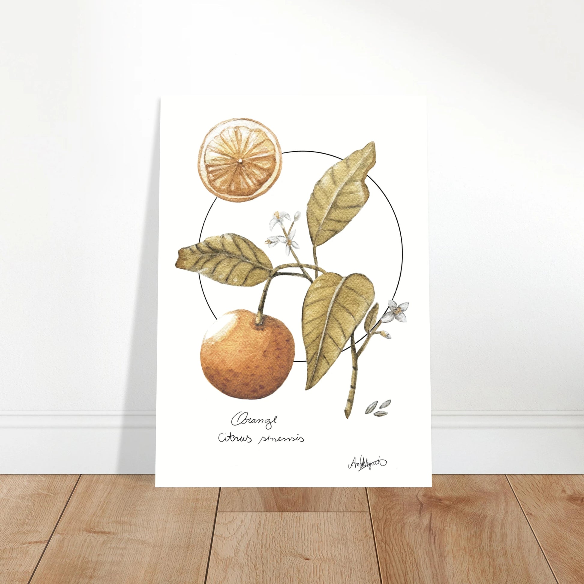 61294b1b-205b-46e4-a869-0395cfc237a1