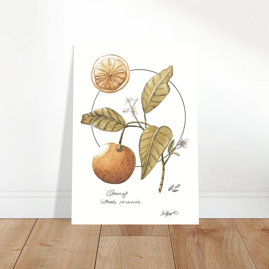 61294b1b-205b-46e4-a869-0395cfc237a1