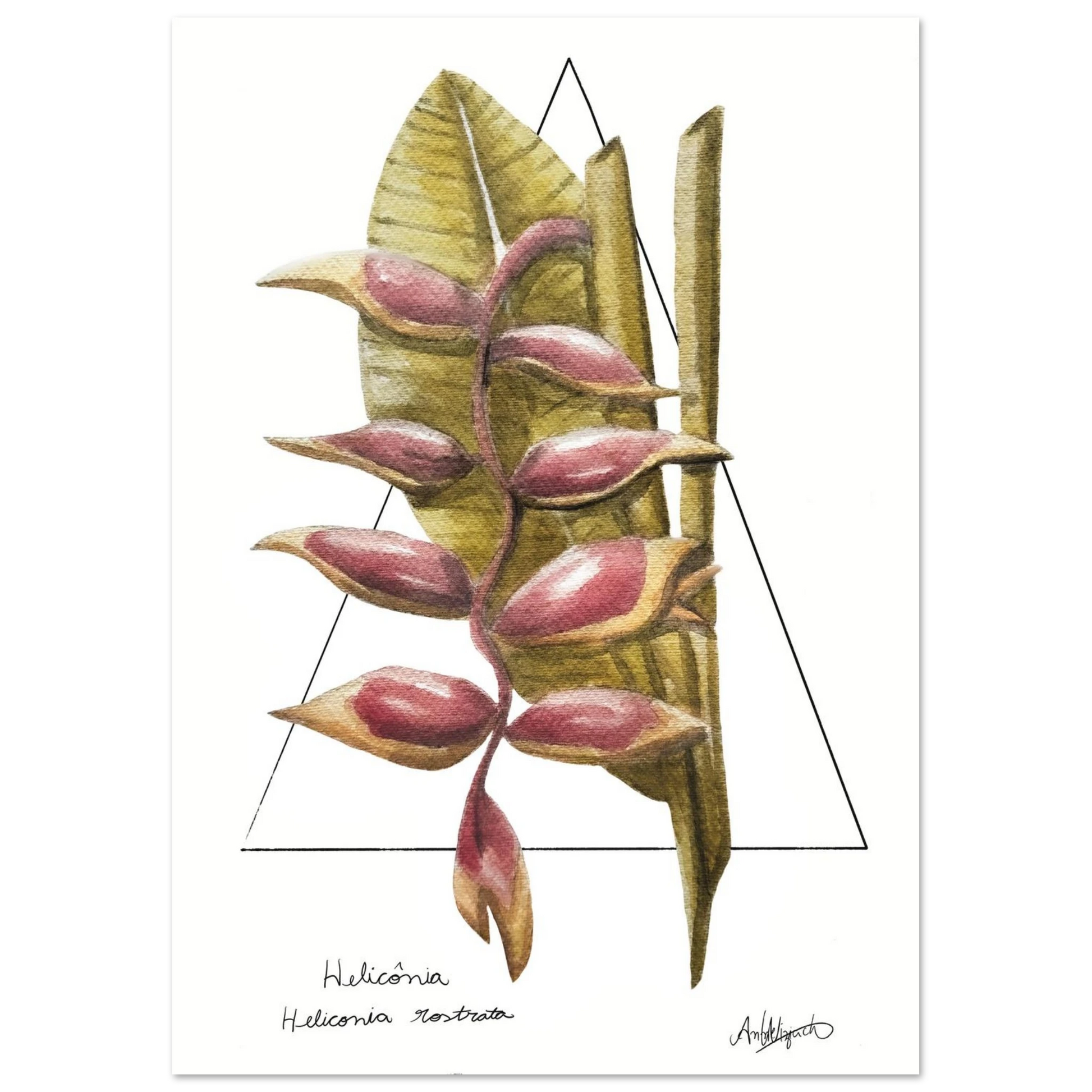 65206e1d-edd6-468d-8ce2-d8710191ceaa