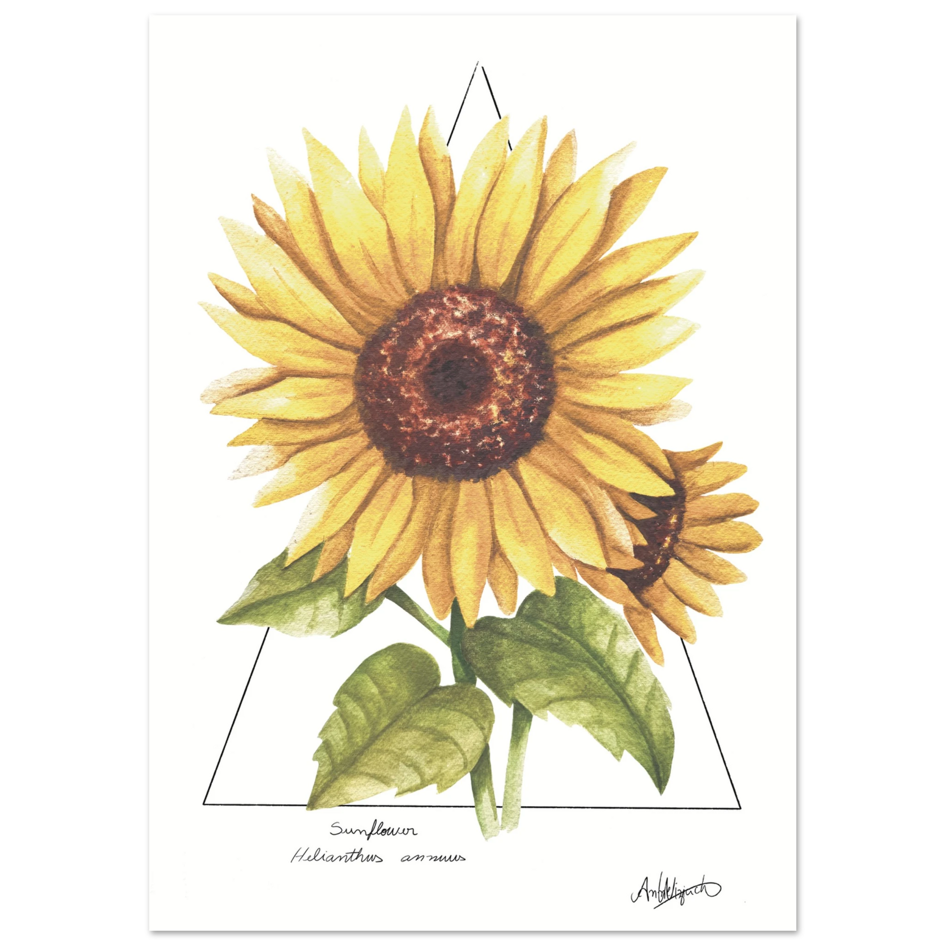 6dfc53ab-1a14-4da5-aebd-c8a67aa68449