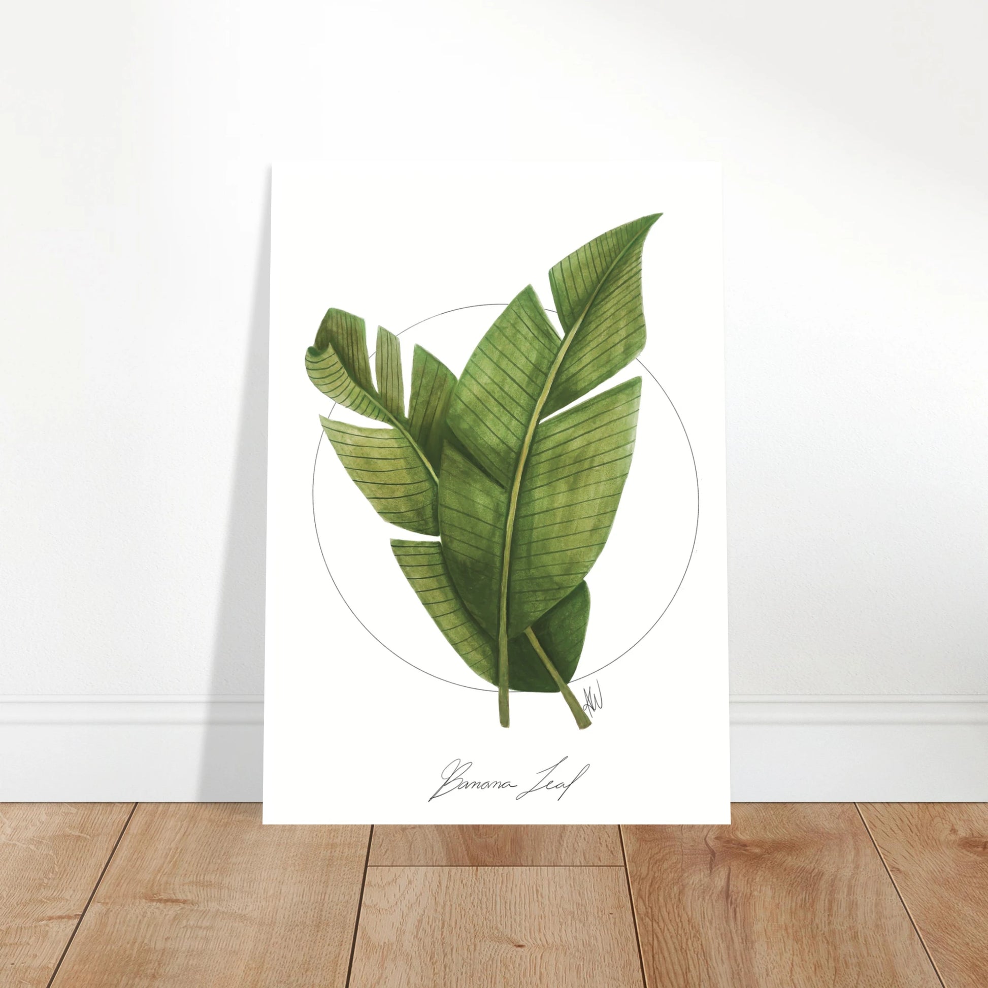 72d38976-dbe9-46b8-ac03-86299392094f