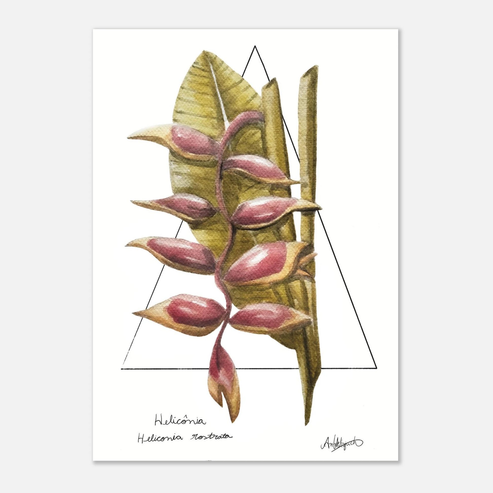 761fe93d-de5d-4681-b799-fe0a3da1a30e