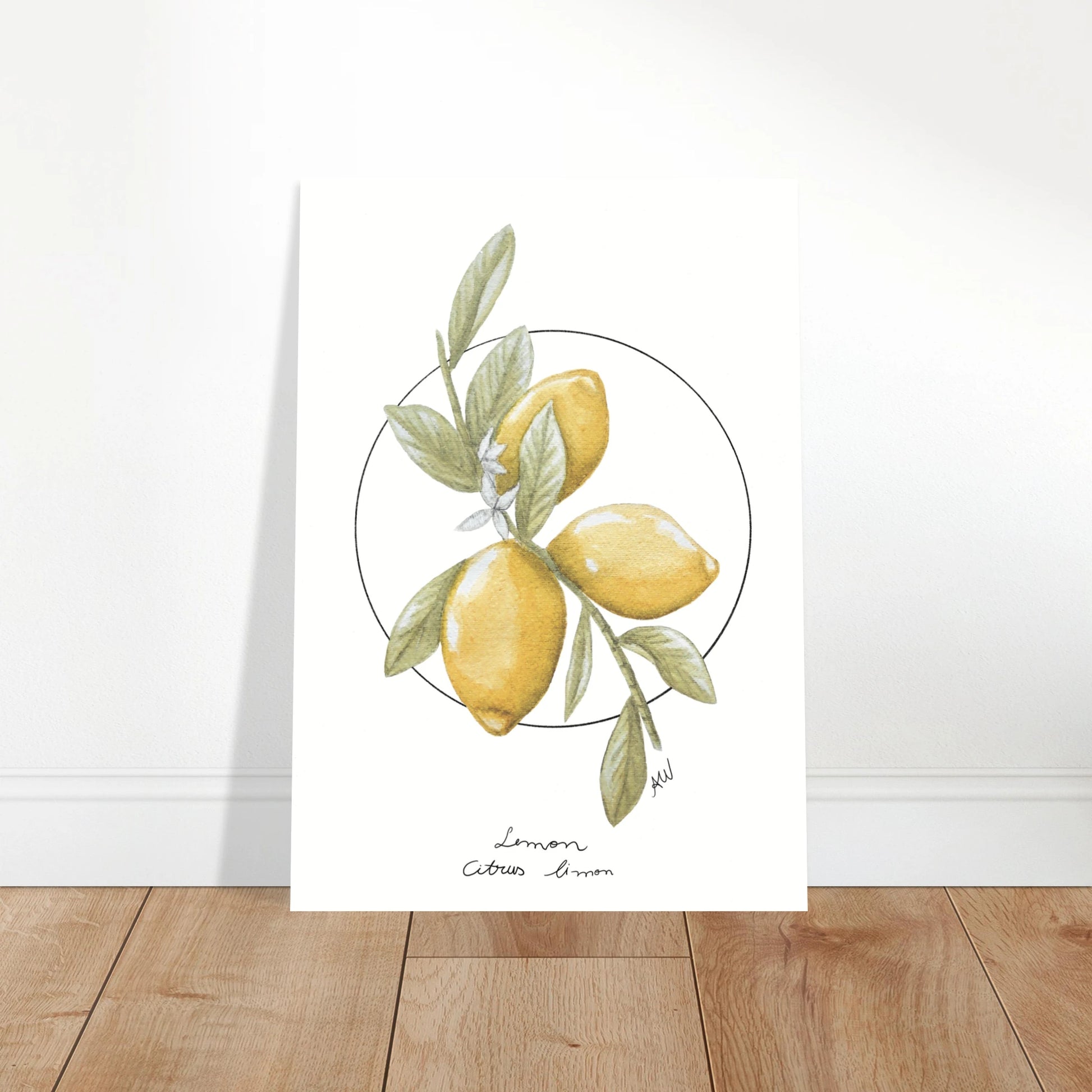 77afc64b-72e3-491d-a377-99471e0d4265