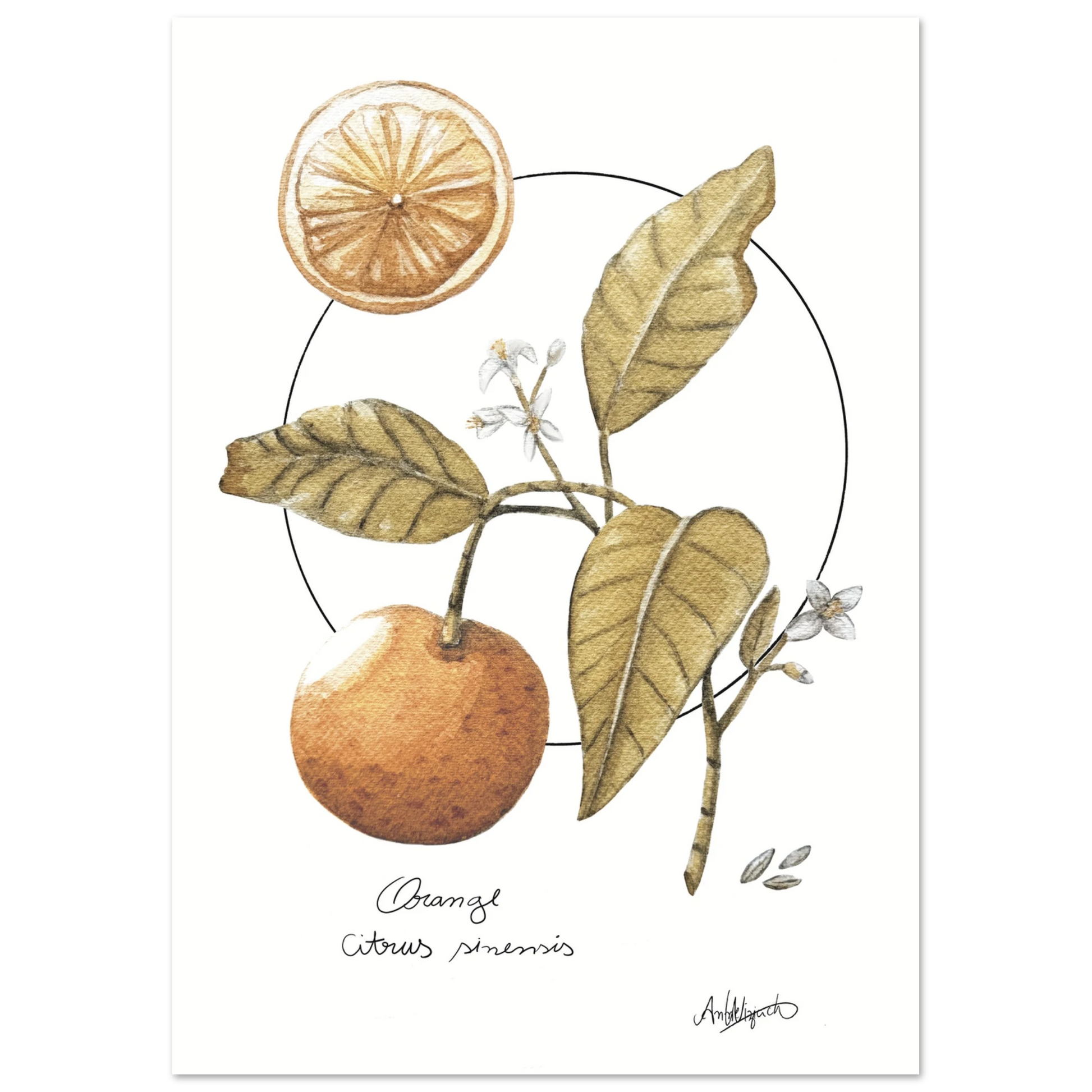 89f0485f-9a18-46e7-9009-091c74b30223