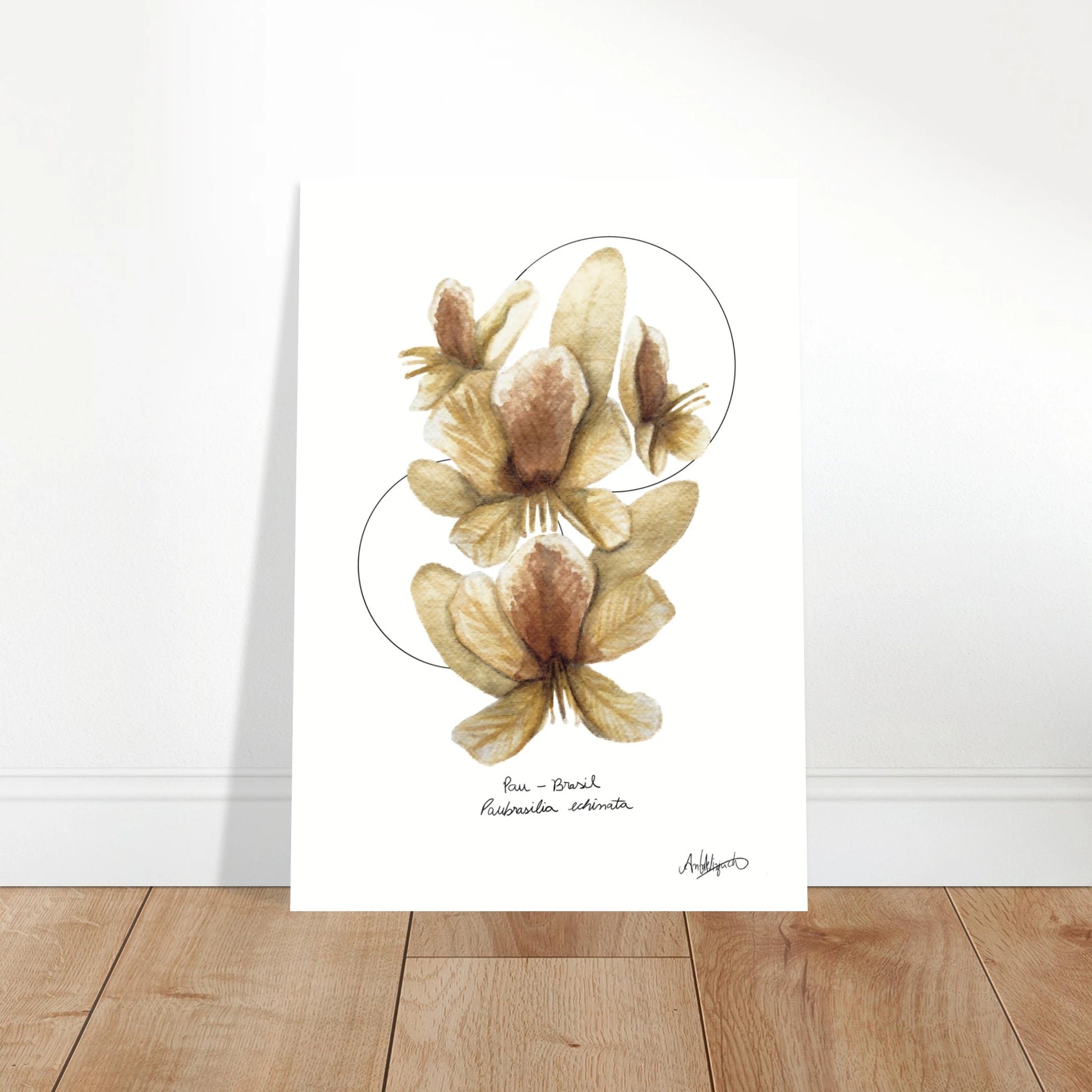 8b525641-eaee-4e28-a637-fda98ce83532