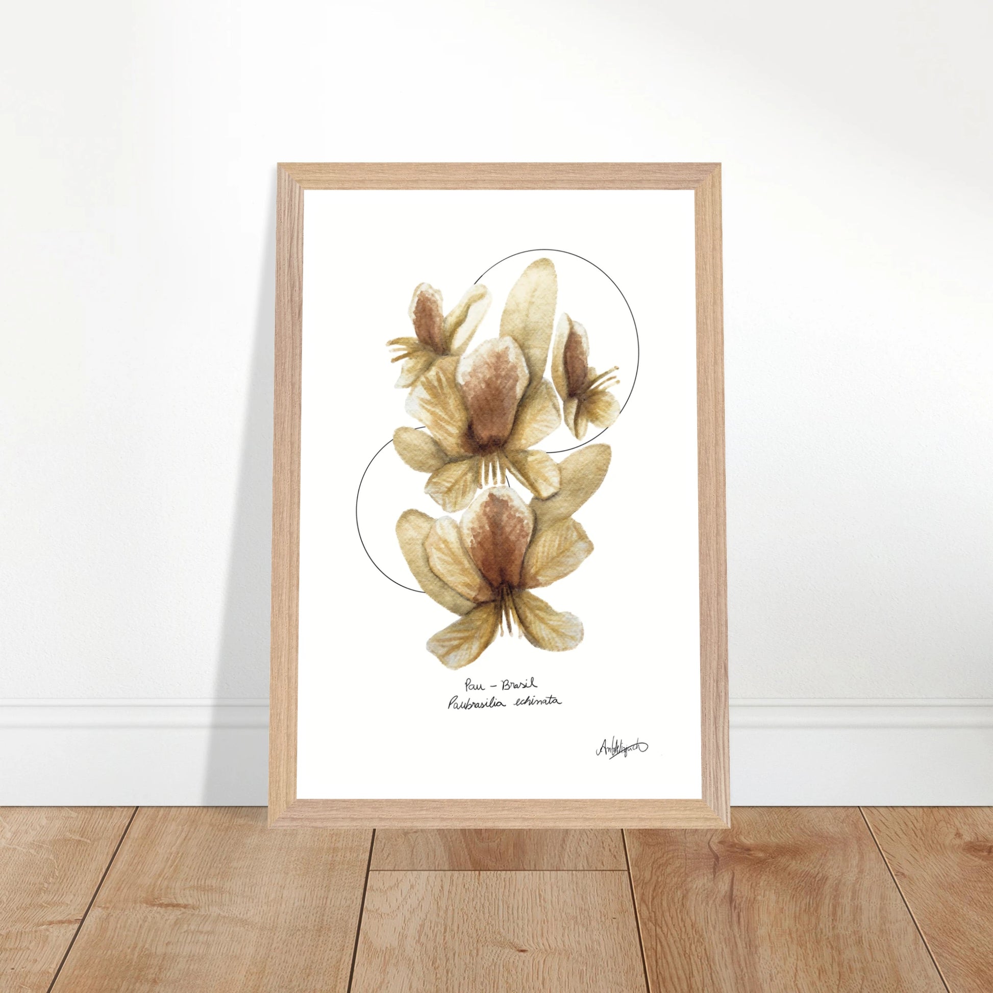 8c7cbd61-168f-4dbb-a159-be85f810723d