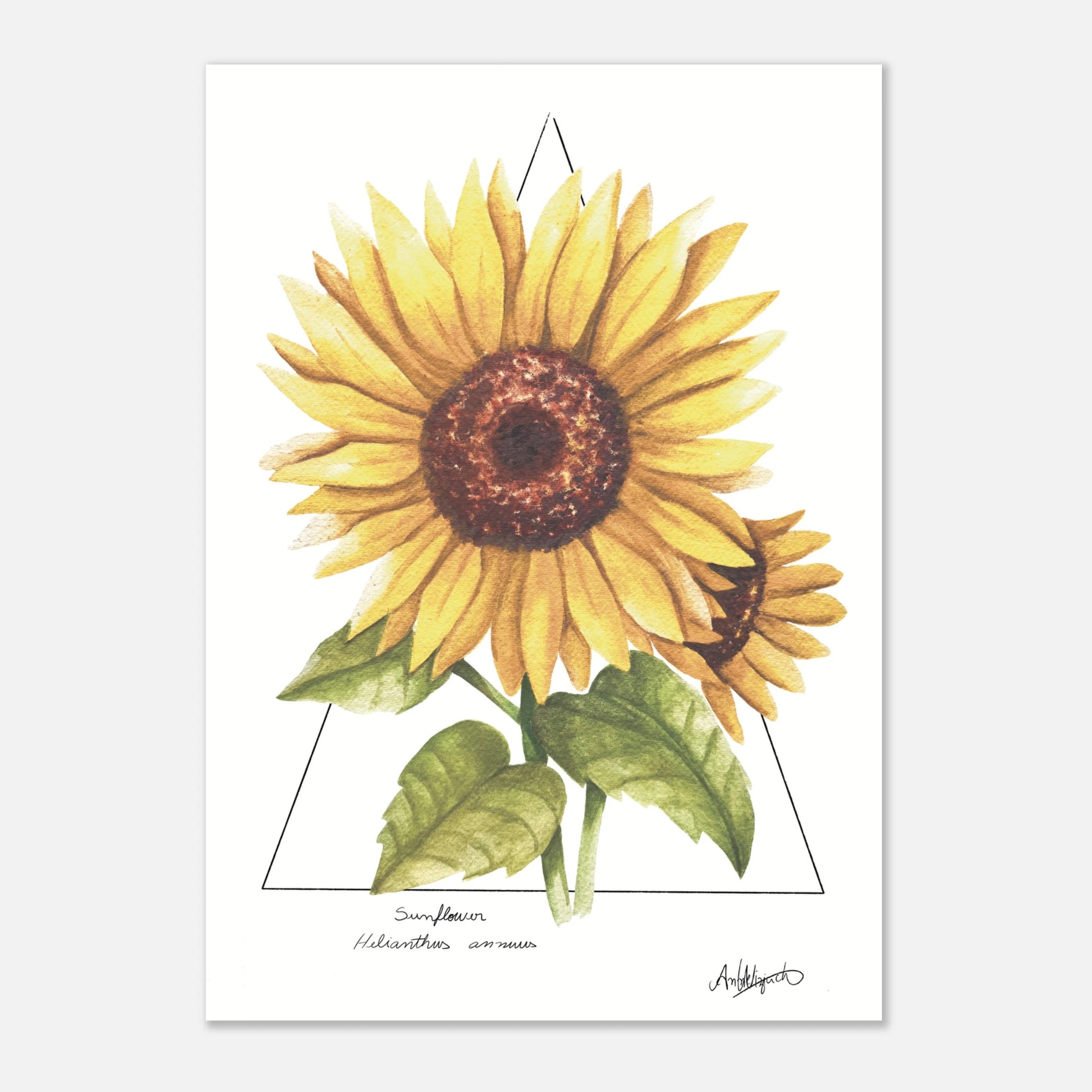 91a7a10e-e98d-425a-98ff-135a5f3d500a