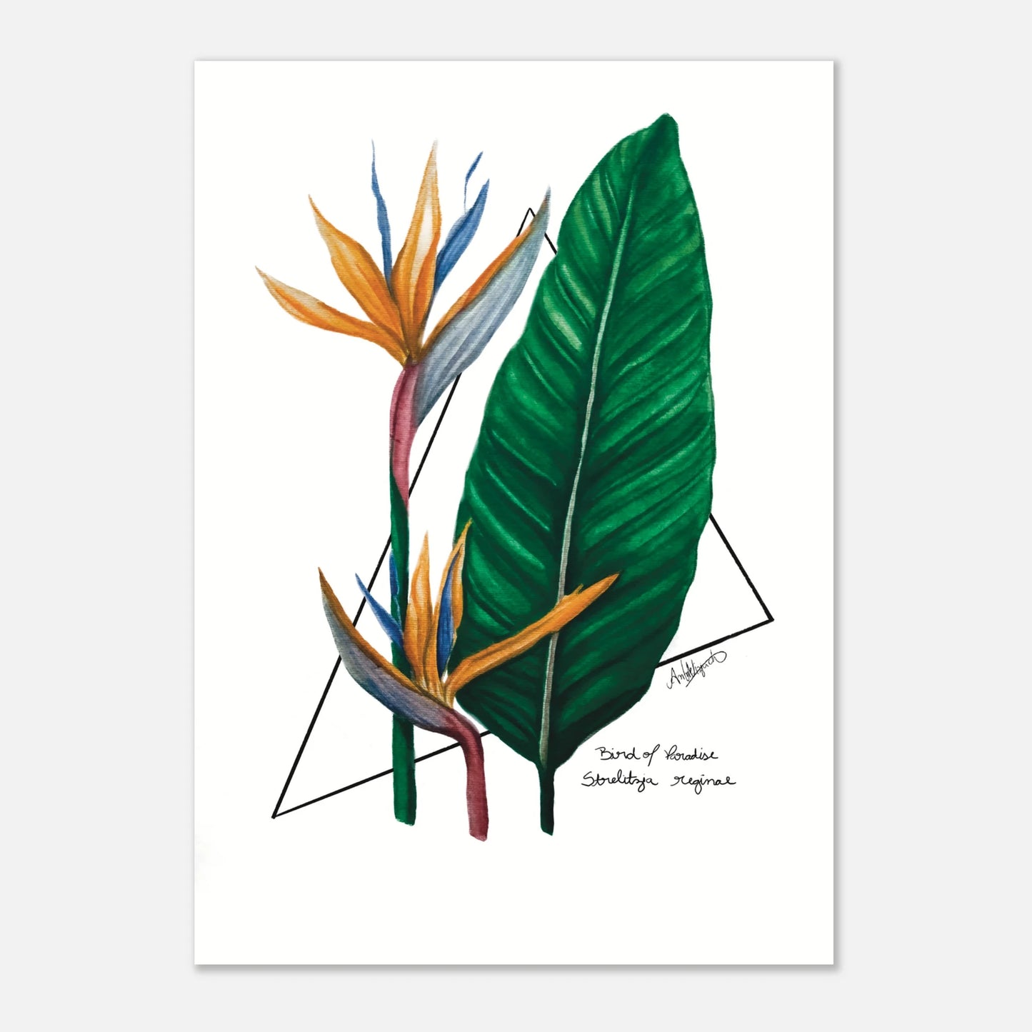 94227fd8-c5a8-45ec-87e4-0d30c01e2e58