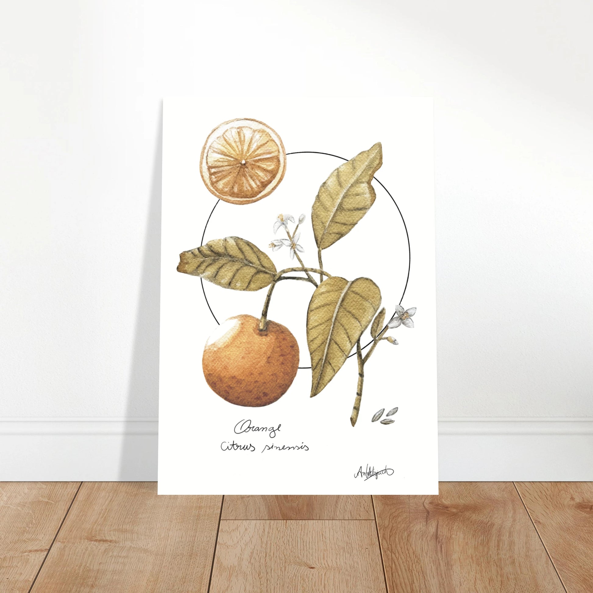 9906e395-943b-4762-849e-5c973ee325fb