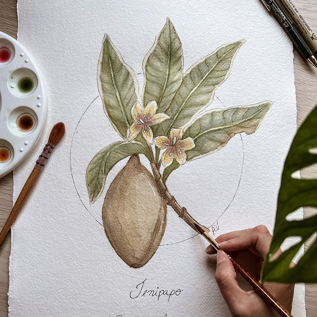 botanical art print