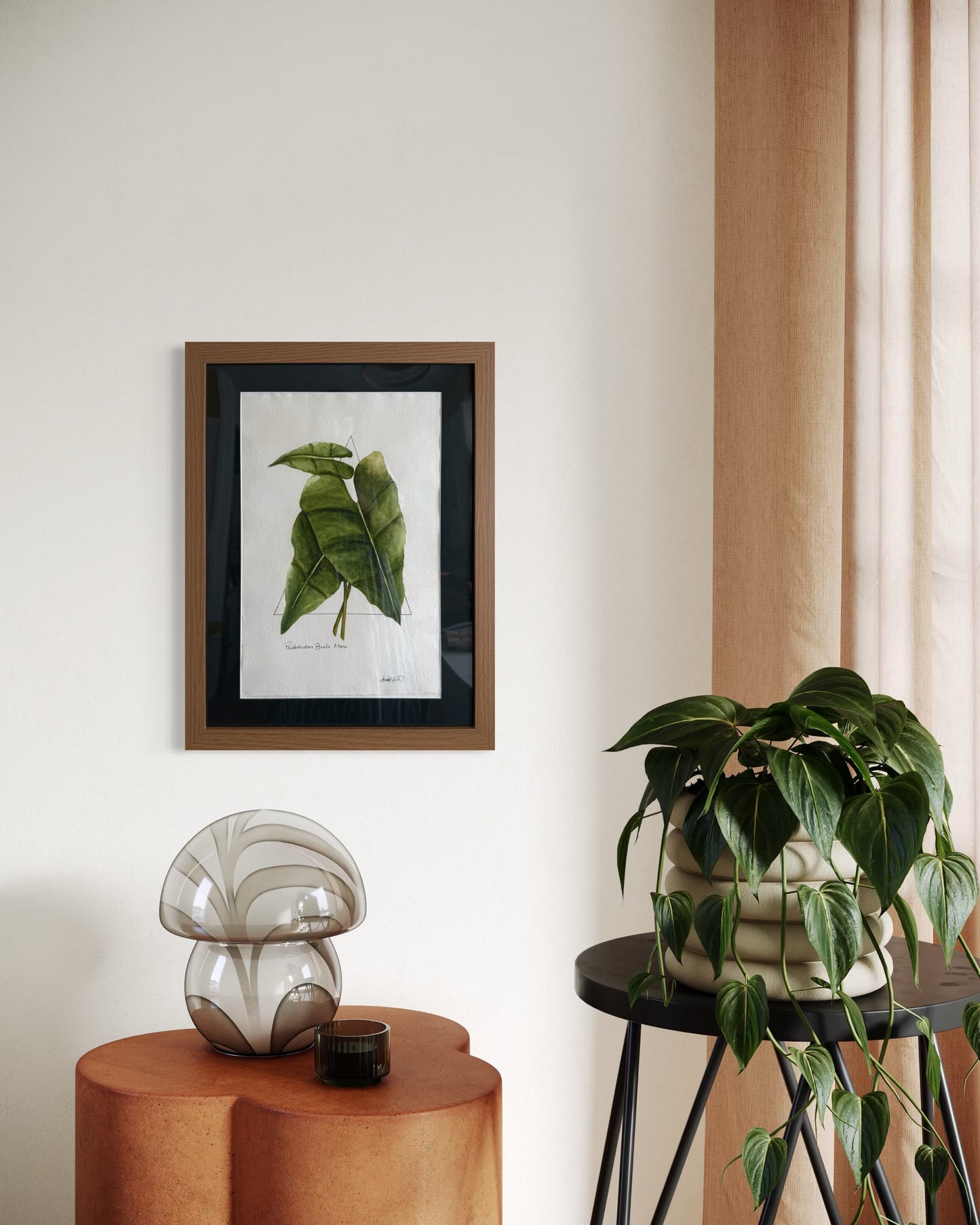 Philodendron Burle Marx Original