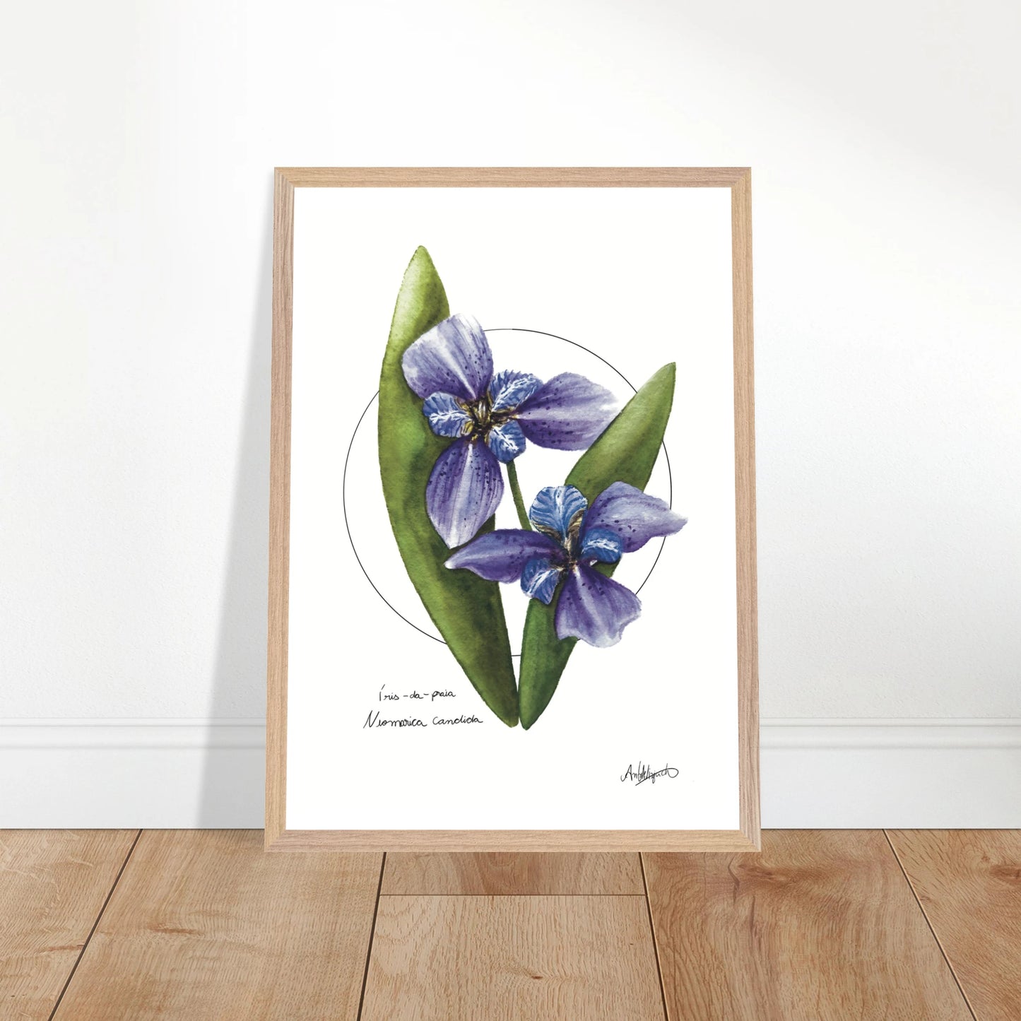 a0bda0b0-2581-4827-abf4-62e2110dc4cf