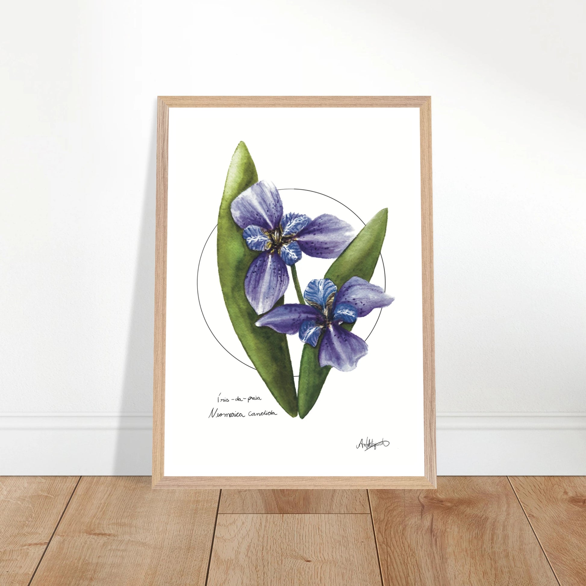 a0bda0b0-2581-4827-abf4-62e2110dc4cf