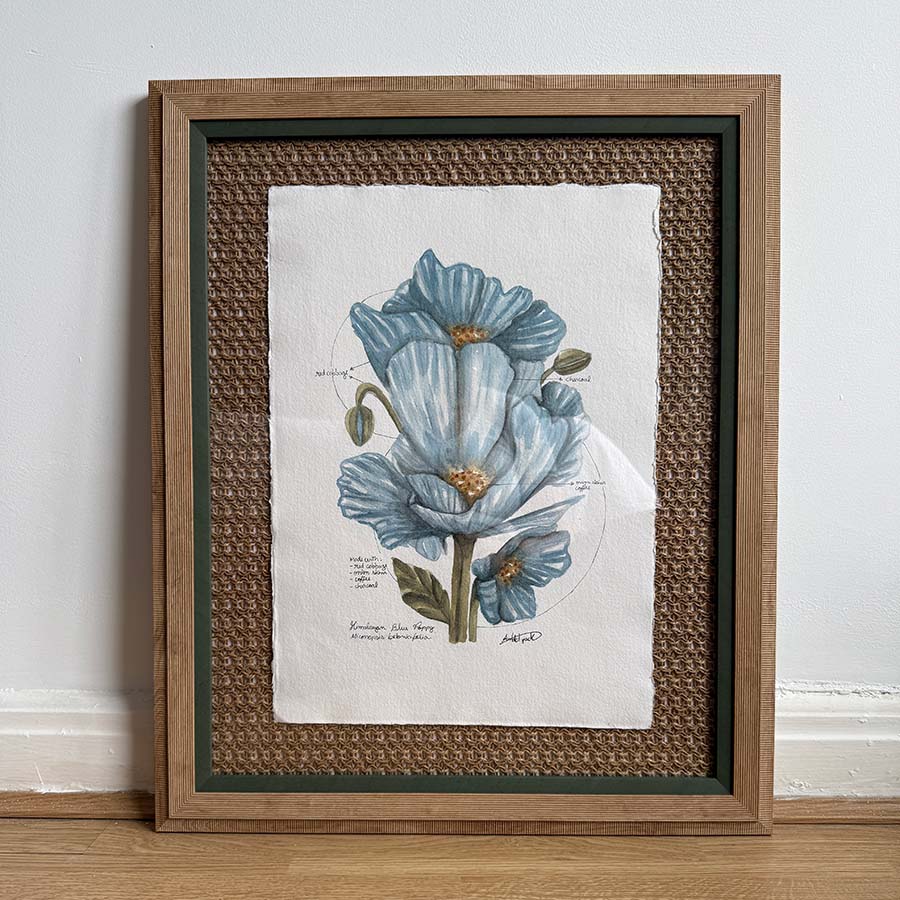 Framed botanical illustration of blue flowers on a white wall.
