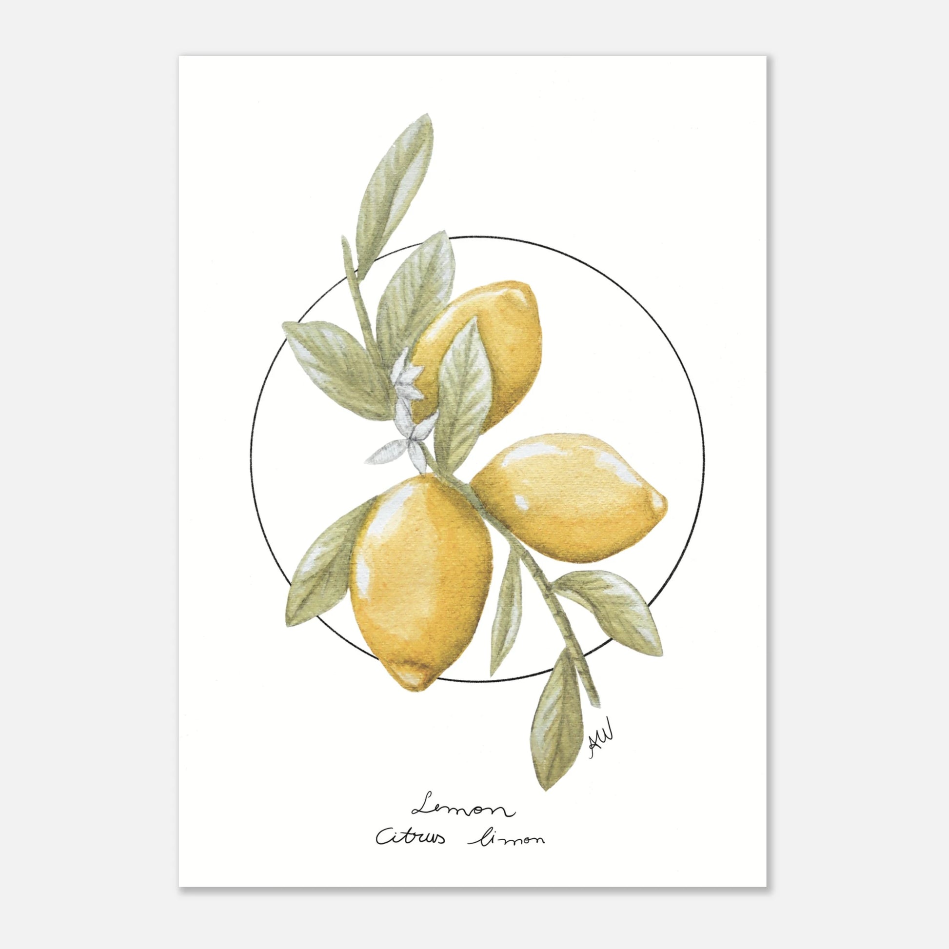 c5e41b90-2883-487c-9b92-9ca0f5c5f215