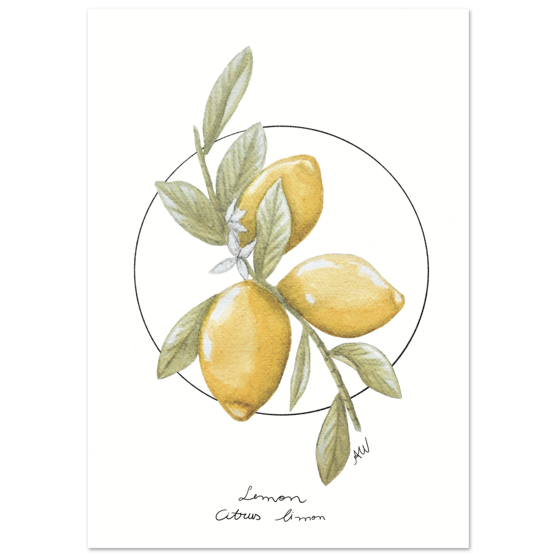 d2482453-6b40-4061-8327-053f834f2a5a