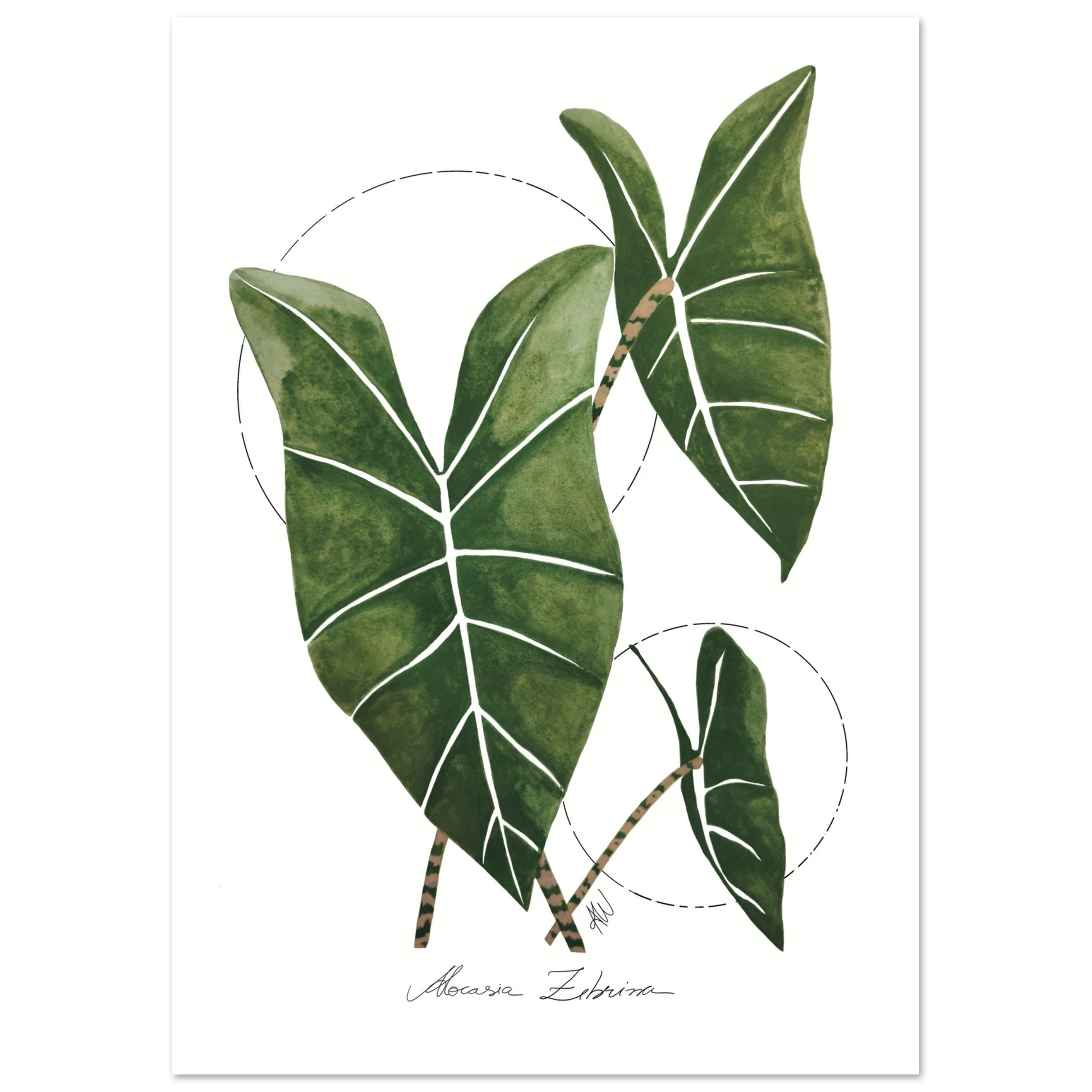 d7aa7c05-e5b7-4209-955e-441dfcc15c3c