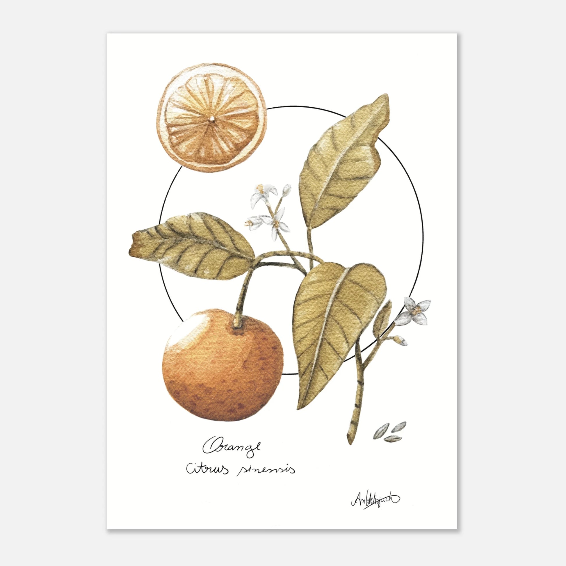 e4af9828-2e34-436b-ba59-05519844f860