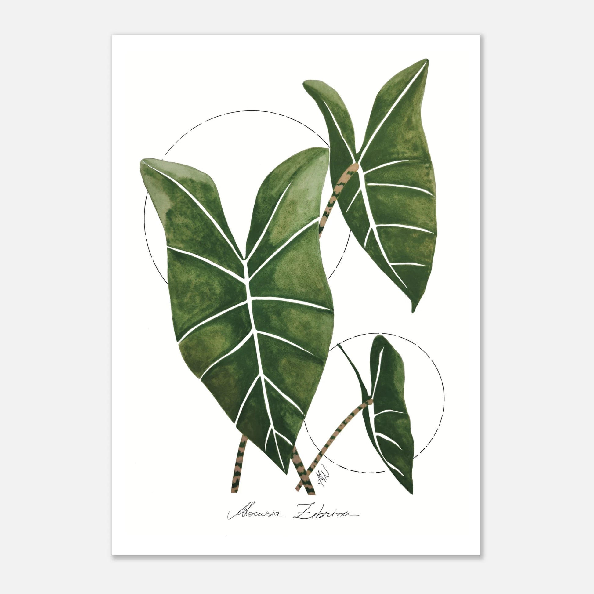 fccfb063-0767-4e06-a3a5-e72cd0def6f7