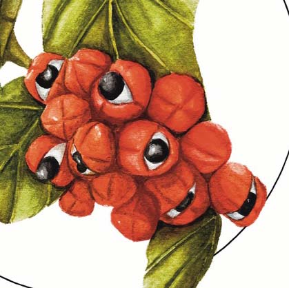 Guaraná Original