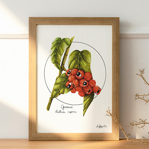 Guarana print