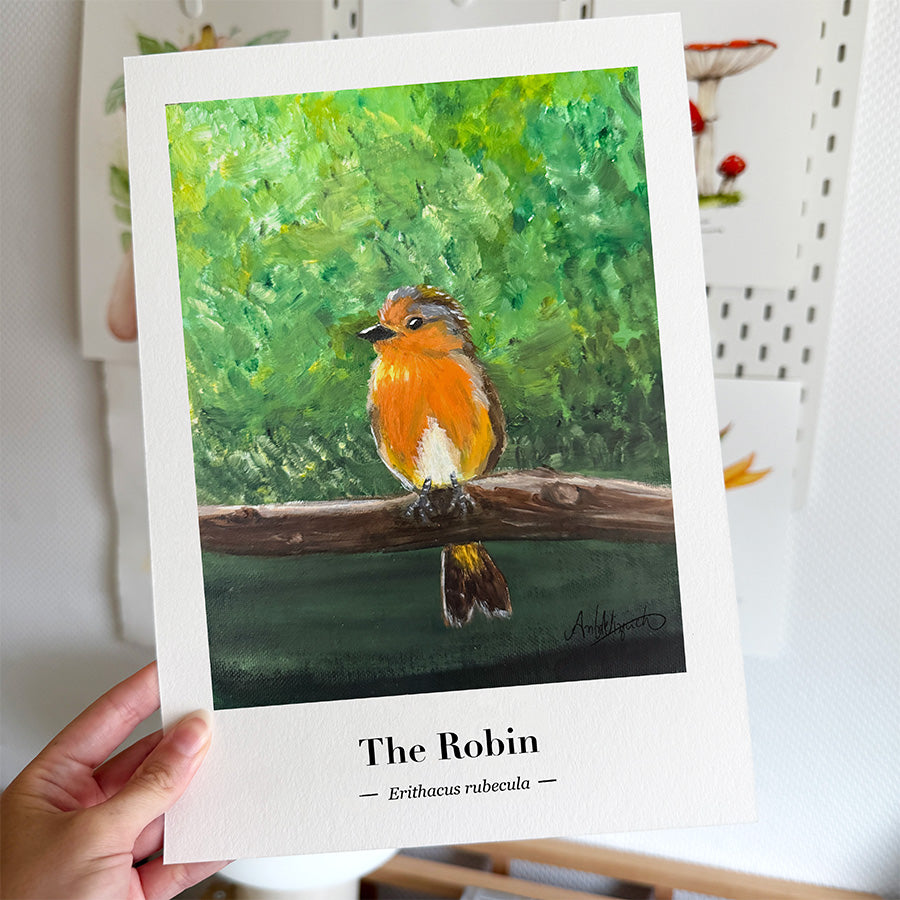 A fine art poster featuring an original illustration of the charming Robin.