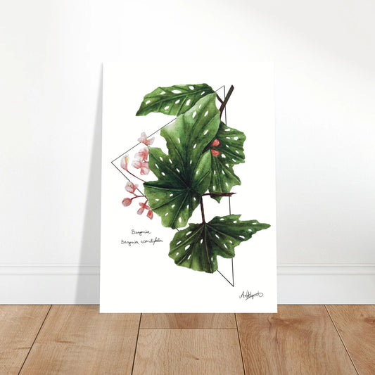 Art print of green leaves and pink flowers on a white background