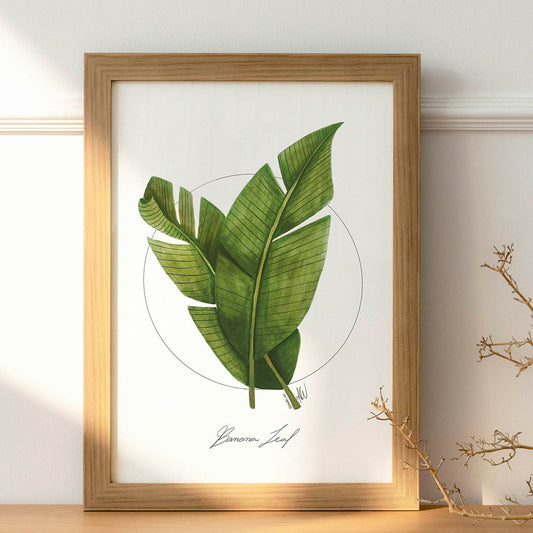 botanical art print