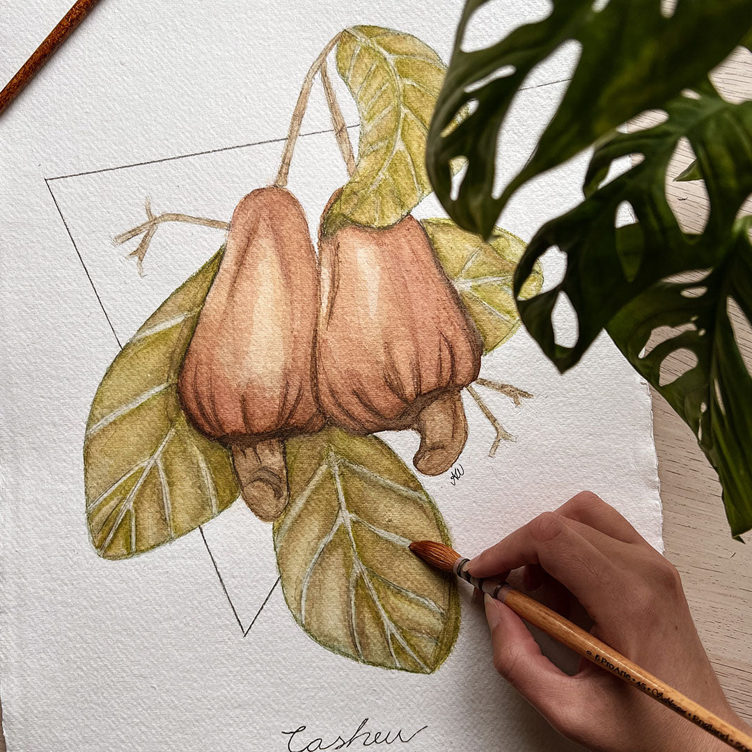 cashew art print