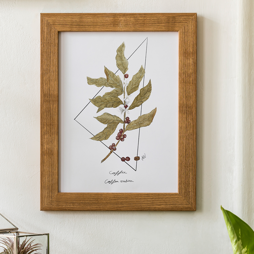 botanical art print