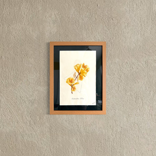 Ipê Amarelo Original