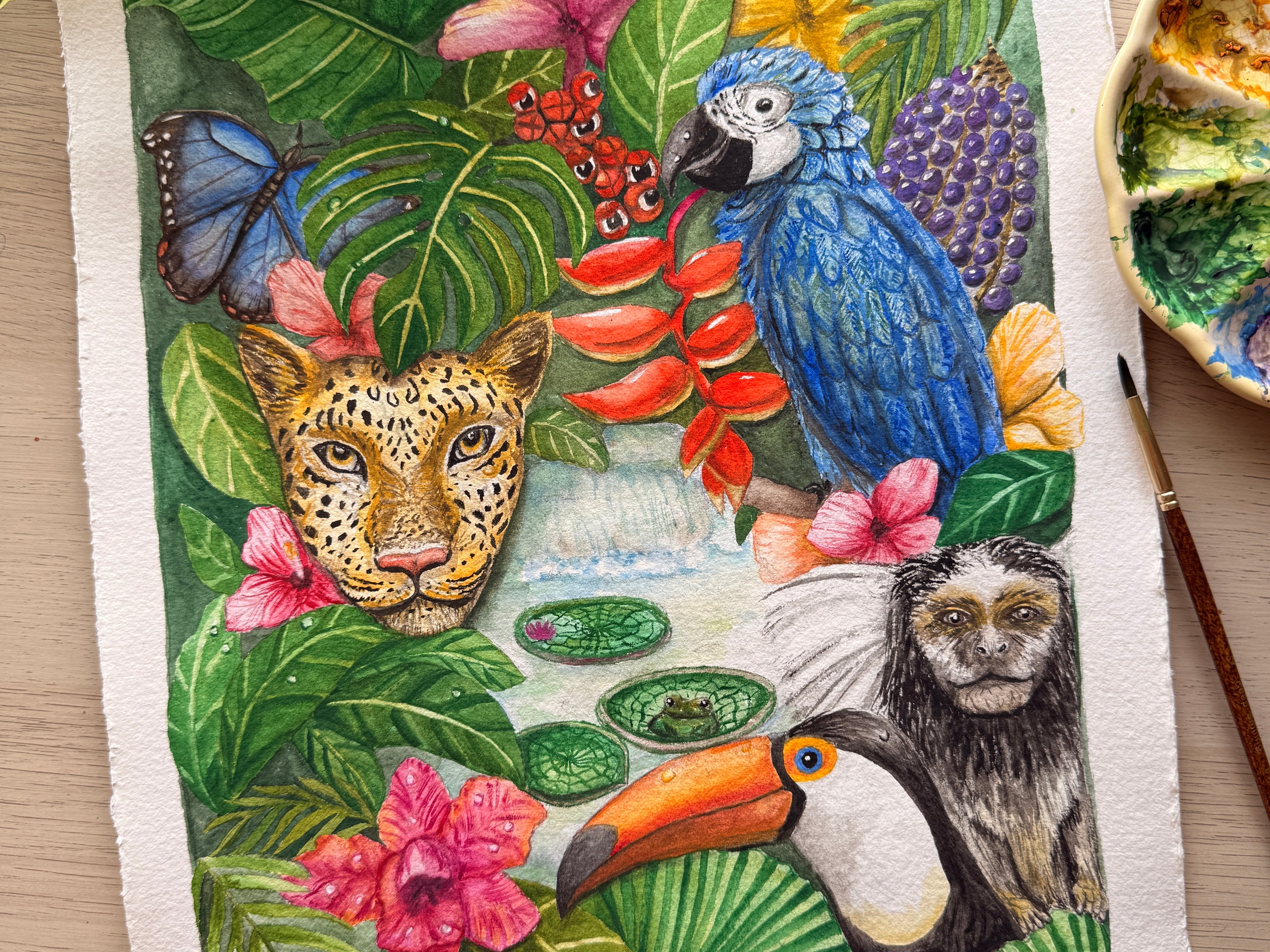 Rainforest animals