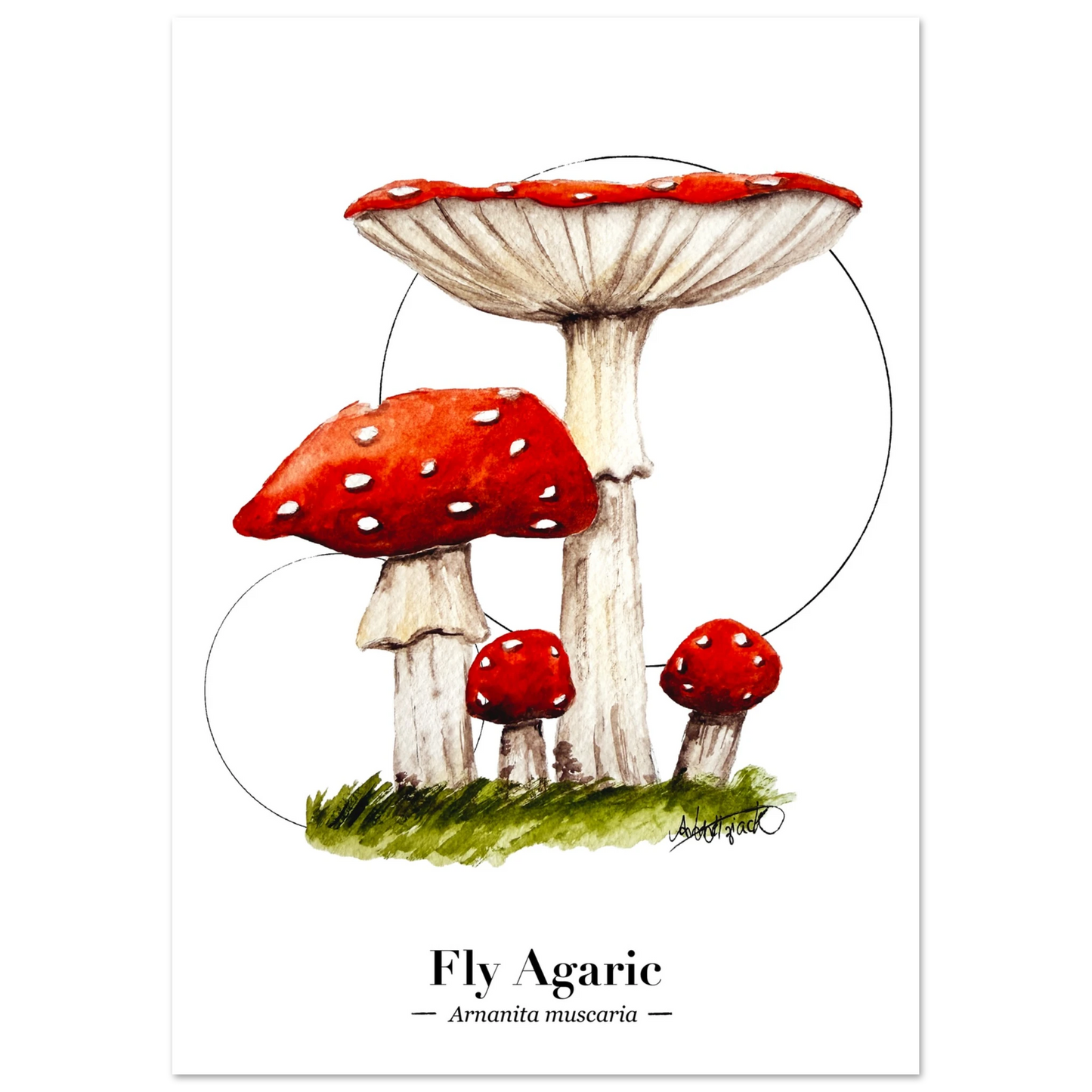 mushroom art print
