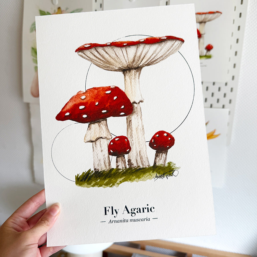 a person holding a mushroom fine art print