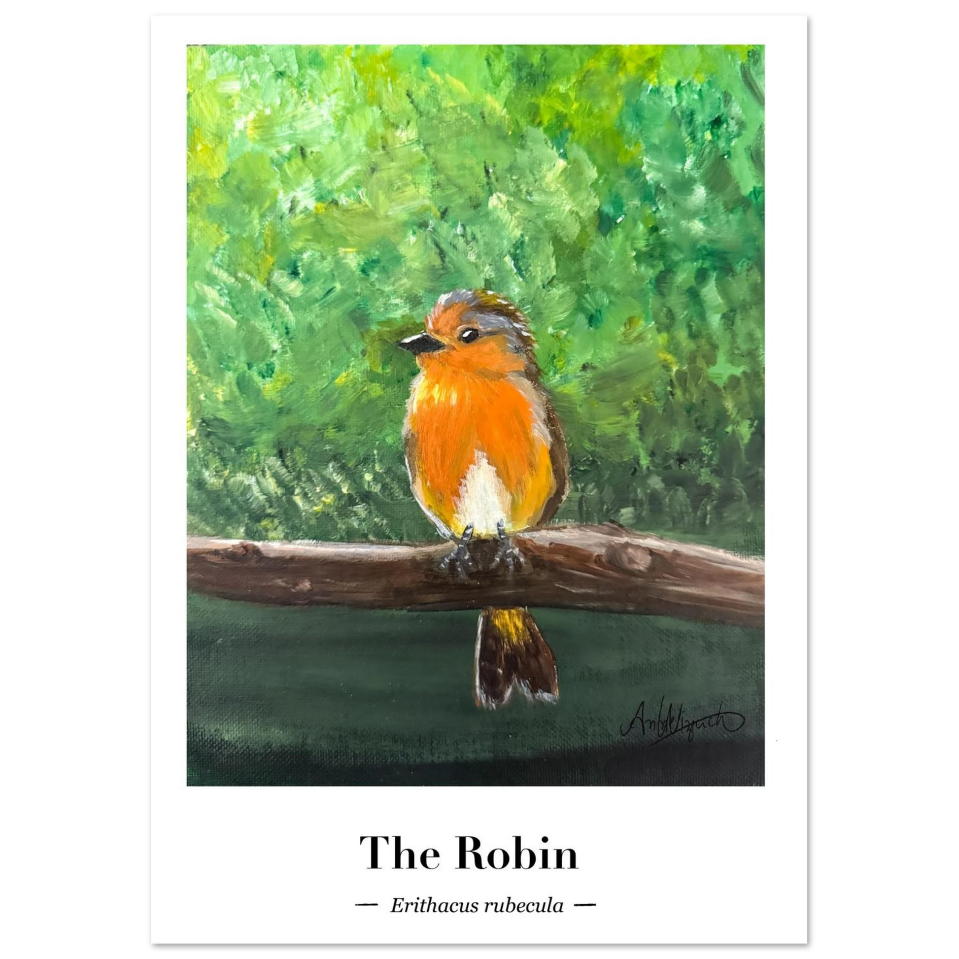 A fine art poster featuring an original illustration of the charming Robin.