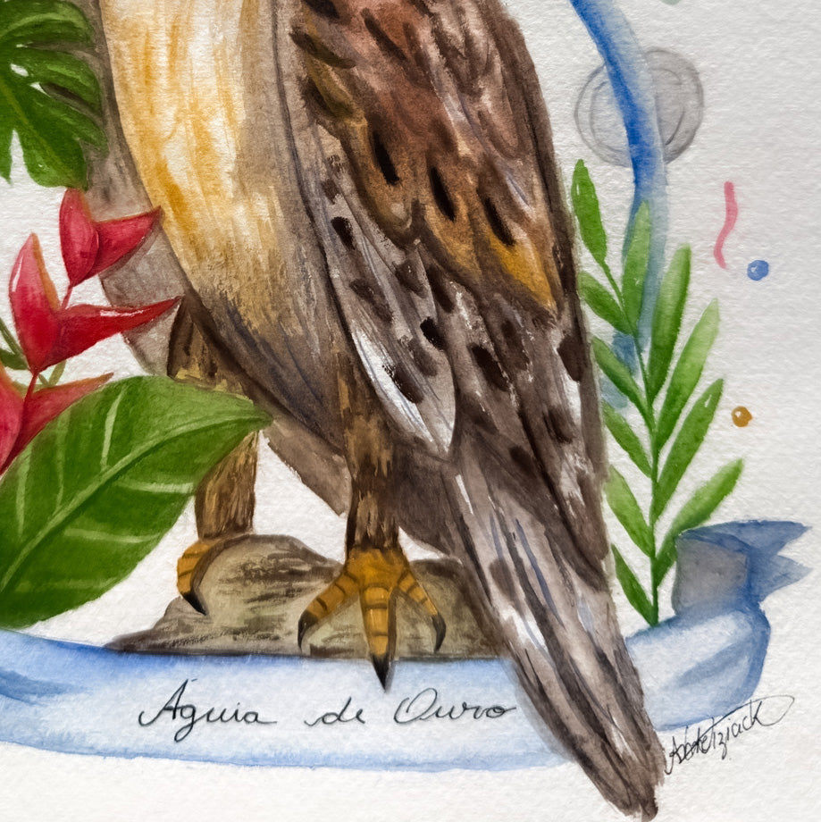 Águia de Ouro Original