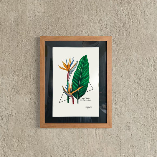 Bird of Paradise Original