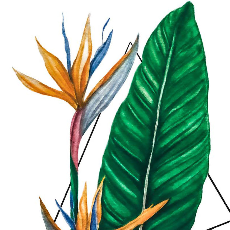 Bird of Paradise Original