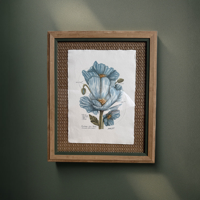 Framed botanical illustration of a blue flower on a green wall