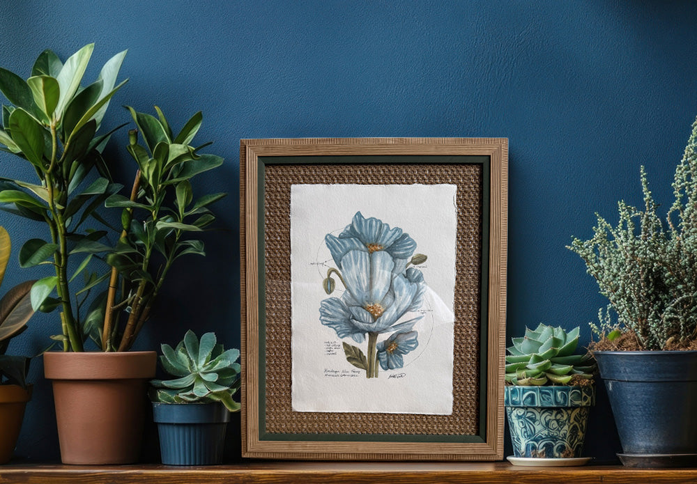 Framed botanical print of a blue flower on a shelf with potted plants against a blue wall.