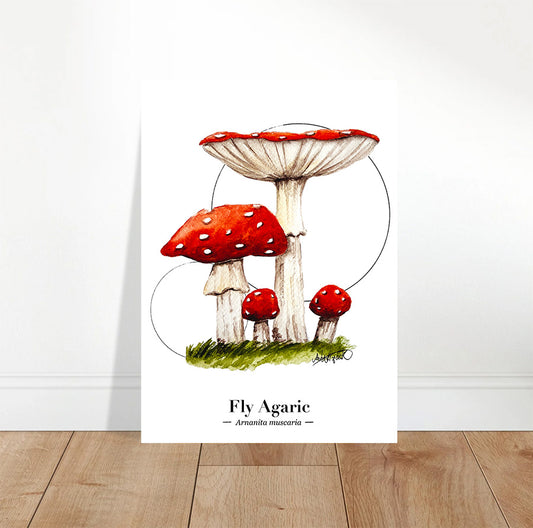 mushroom print 
