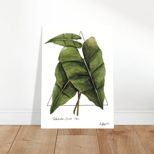 Botanical print of green leaves on a white background.