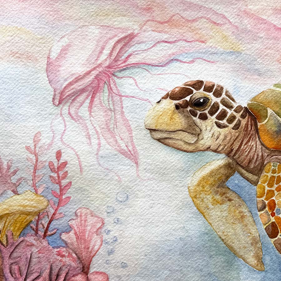 Illustration of a turtle and jellyfish with watercolor textures