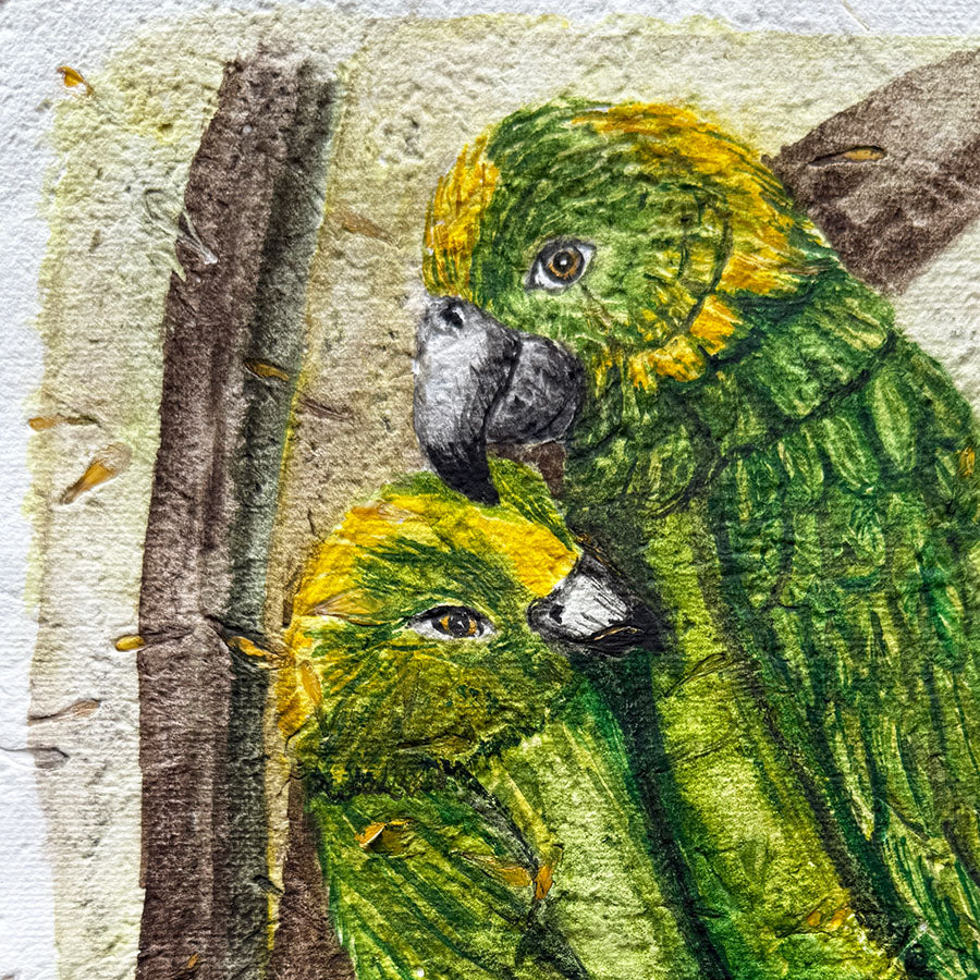 Close-up of two green parrots with yellow faces perched on a branch.